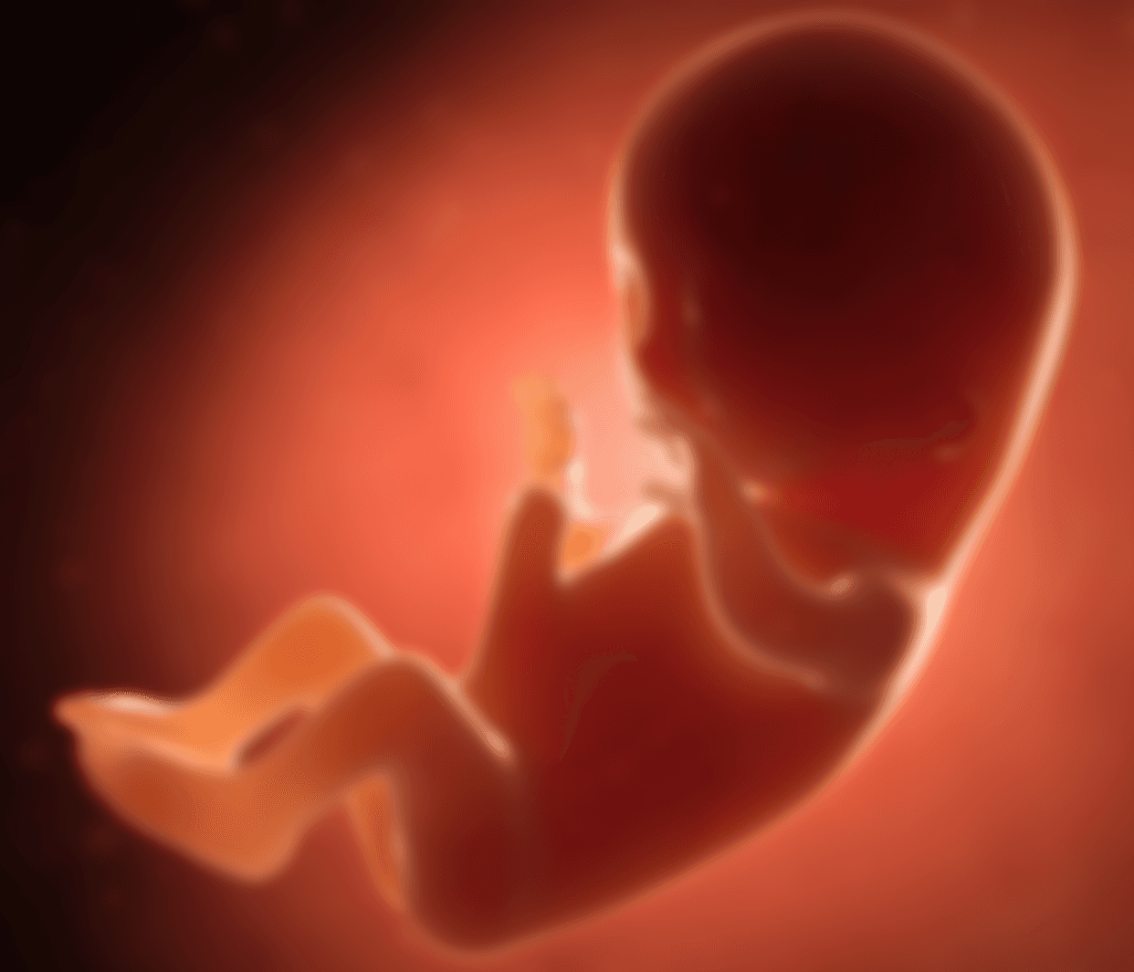 Aborto - Quem é a Verdadeira Vítima?