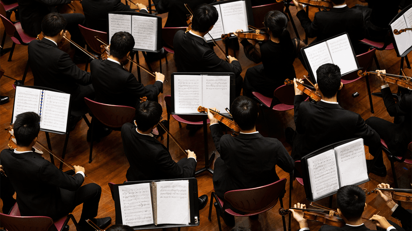 Conheça a Orquestra - imagem 1
