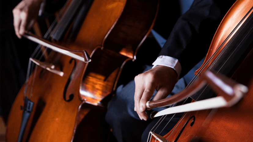 Conheça a Orquestra - imagem 4
