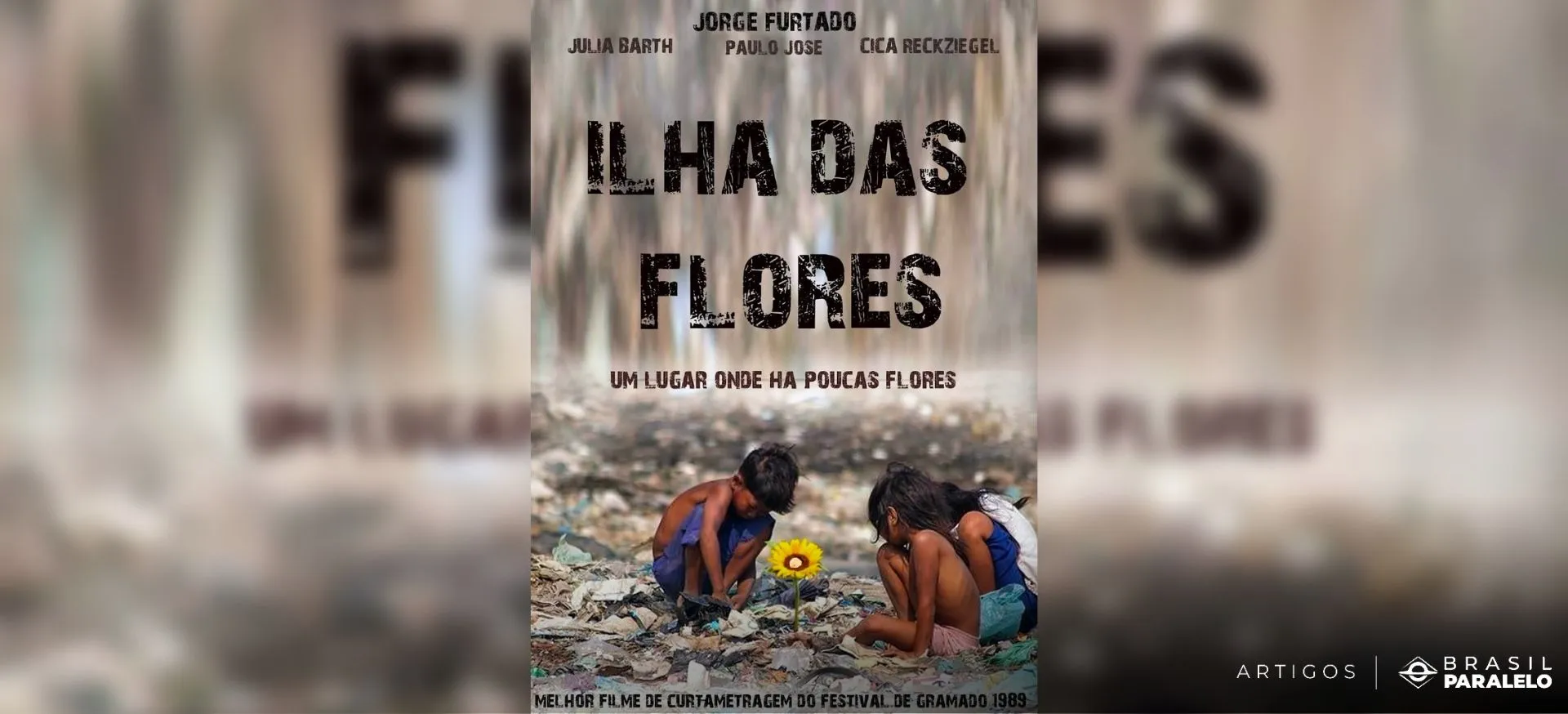 Documentários brasileiros