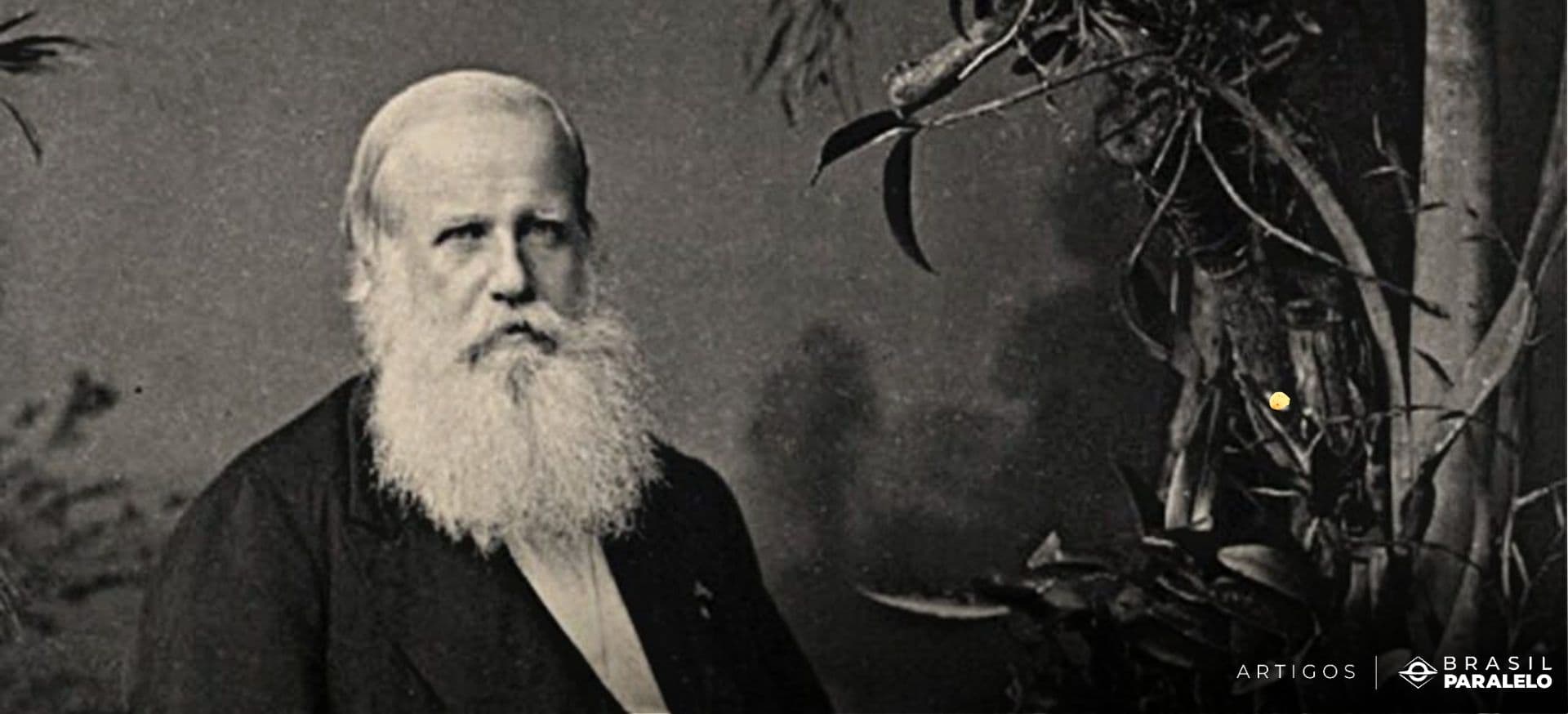 Vida de Dom Pedro II biografia