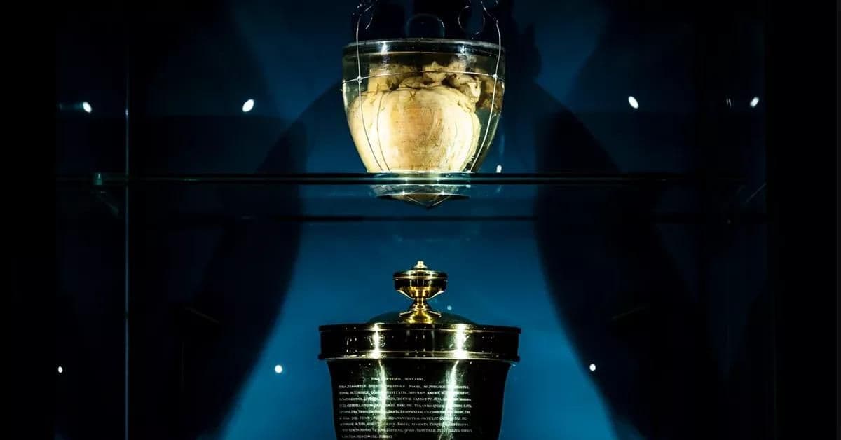 Coração de Dom Pedro I está no Brasil para comemorações de 200 anos de Independência