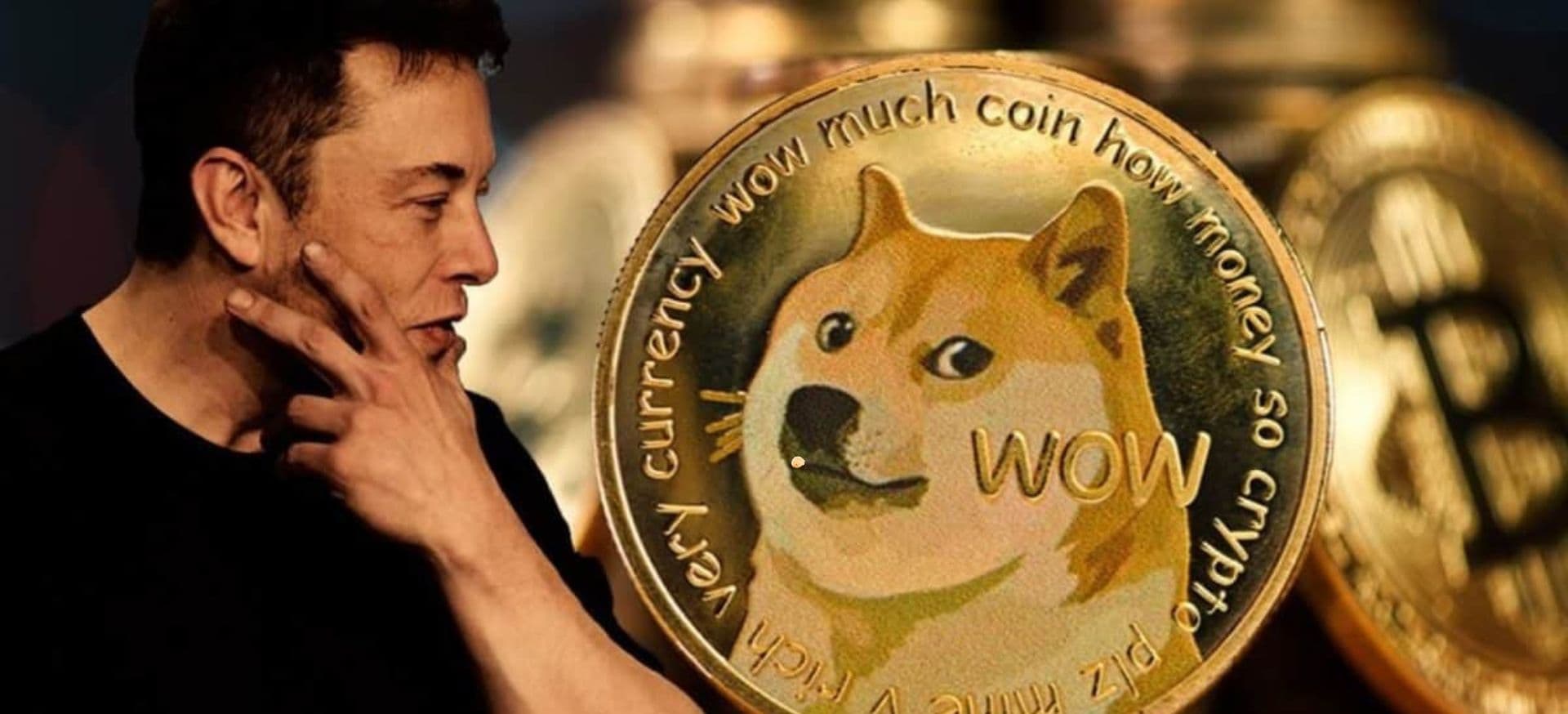 Elon Musk e Dogecoin