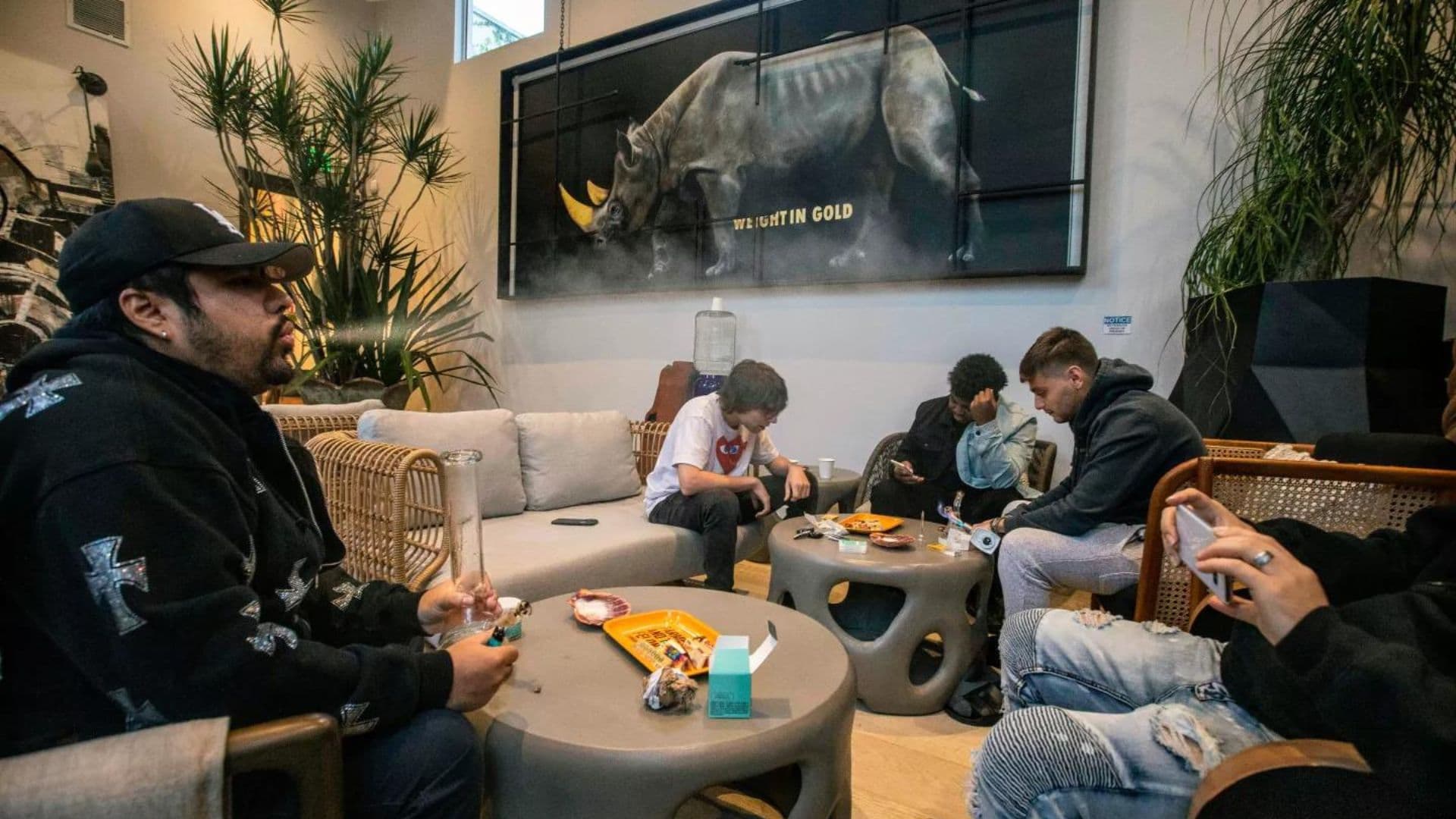 Coworking voltado para Maconheiros é Inaugurado em NY