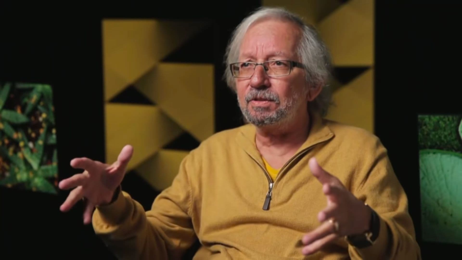 Antonio Risério, antropólogo brasileiro de esquerda.