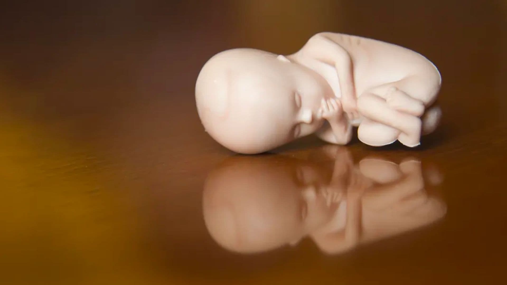 Boneco representando nascituro.
