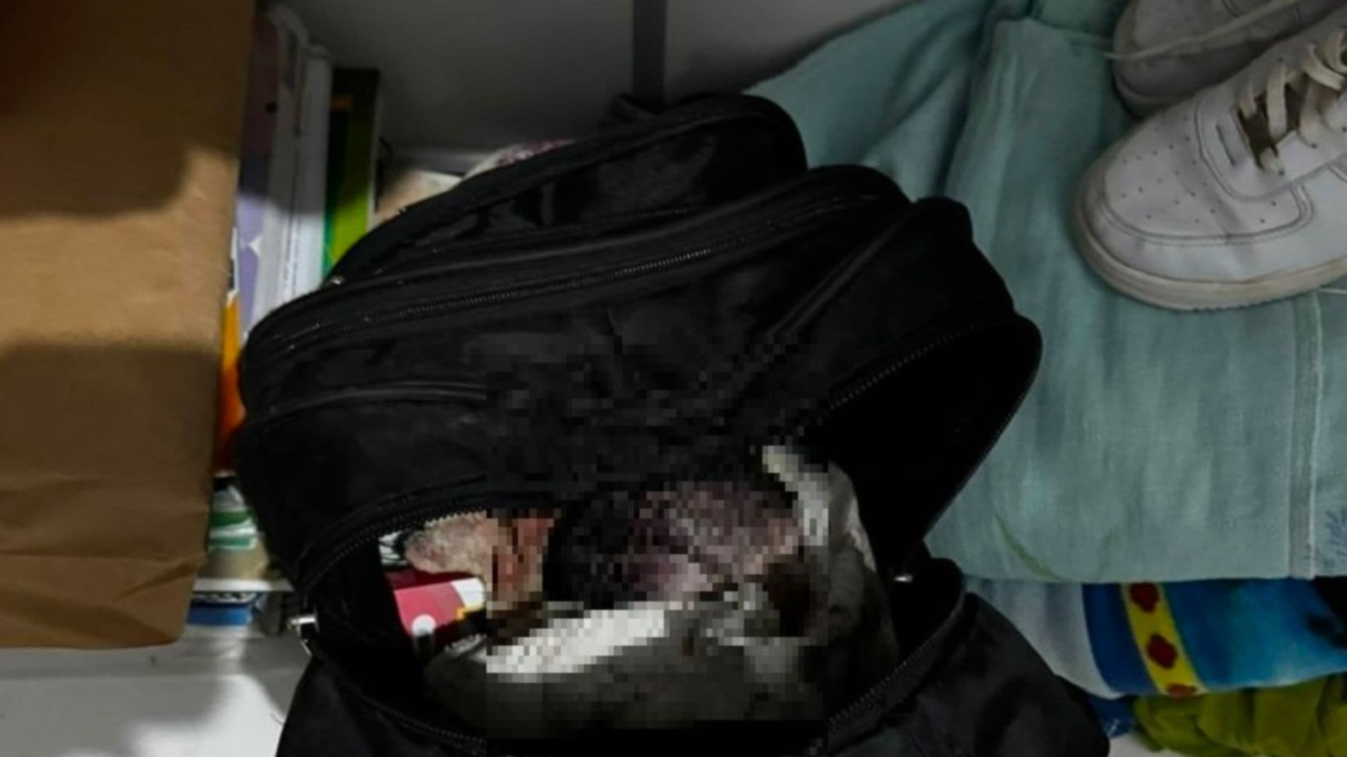 Foto feito pela polícia civil do bebê na mochila