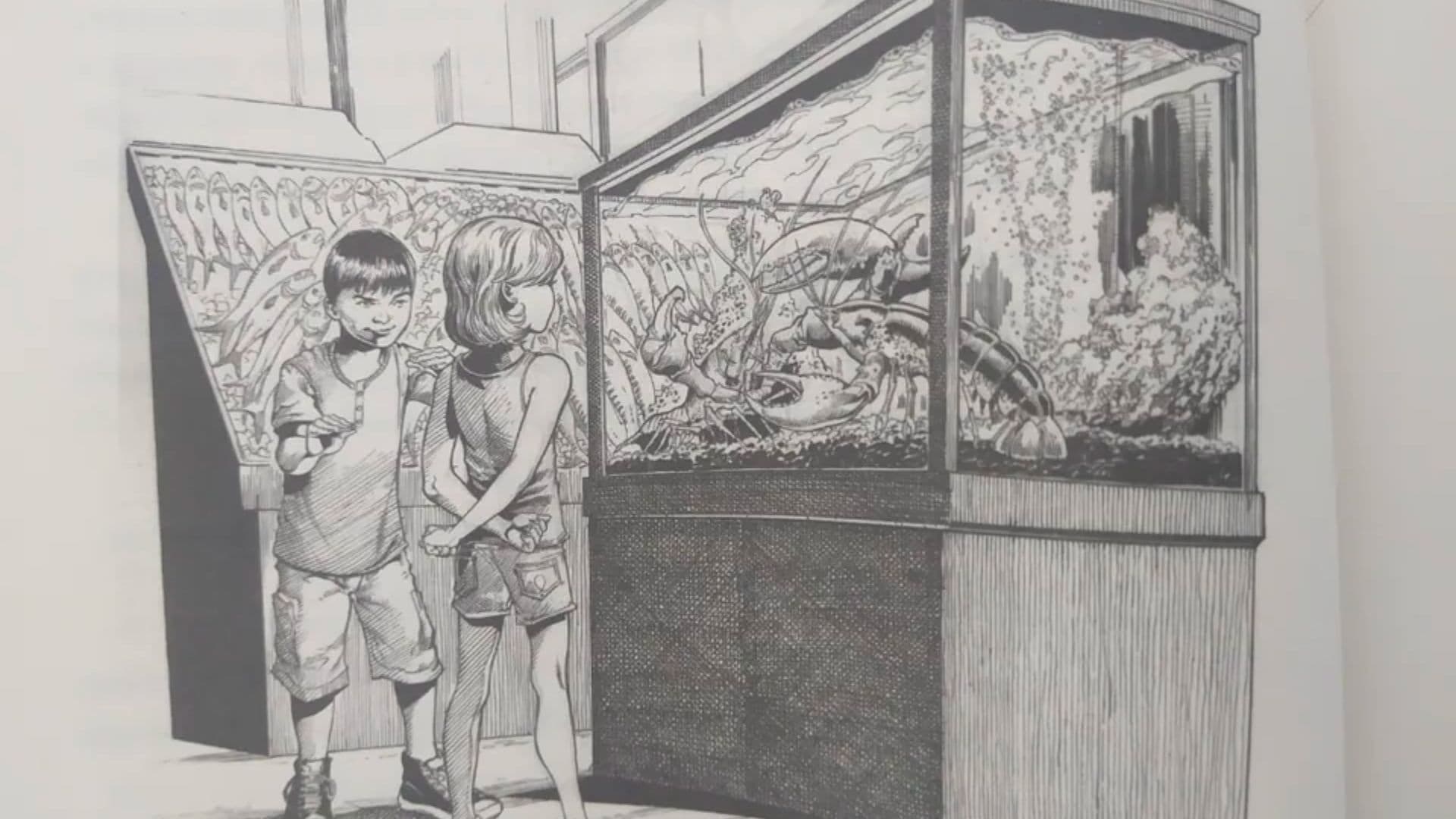 Ilustração da primeira regra do livro de Jordan Peterson.
