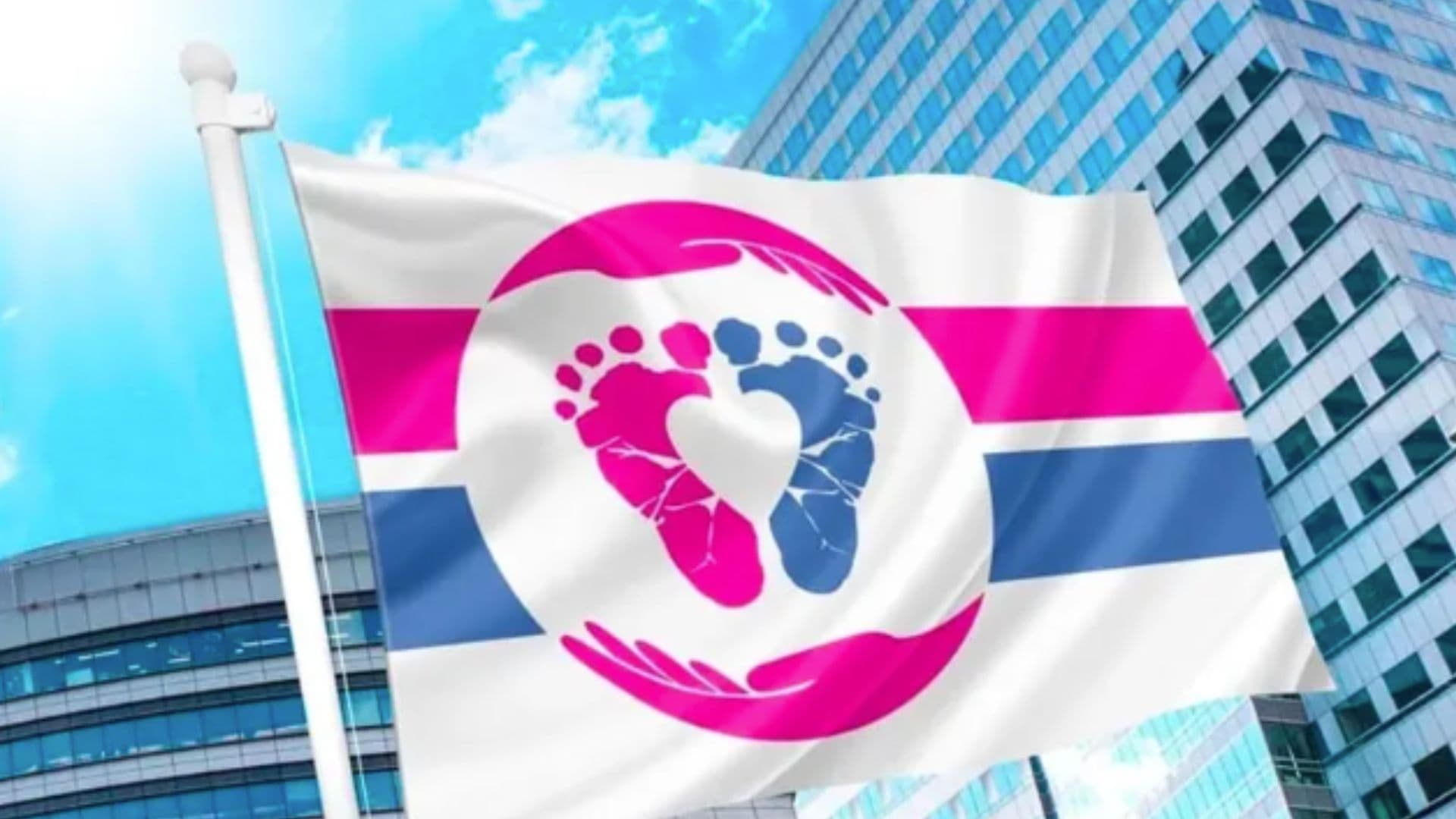 Bandeira Pró-Vida, servirá como símbolo internacional do movimento pró-vida