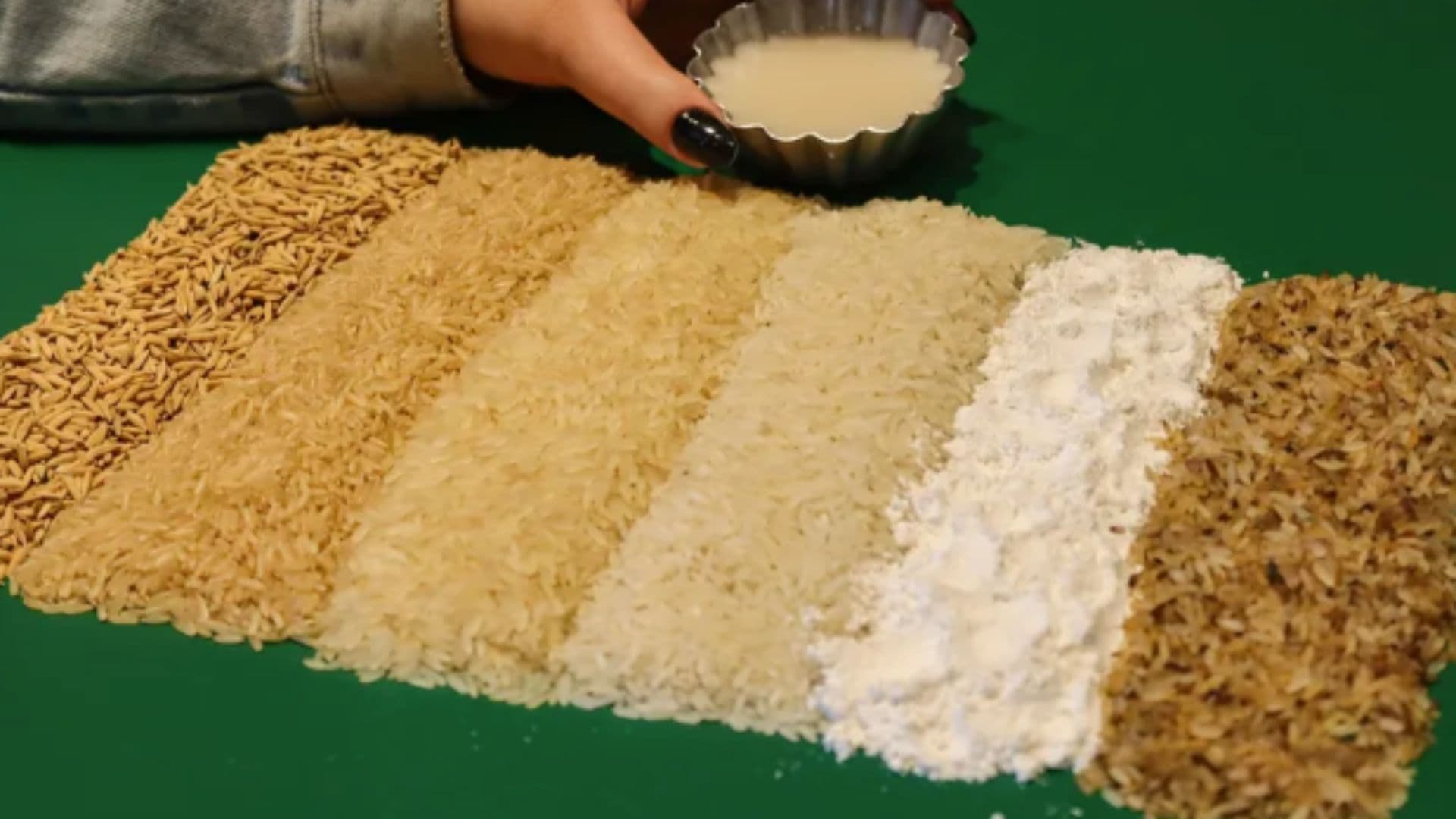 Vários tipos de arroz aparecem enfileirados