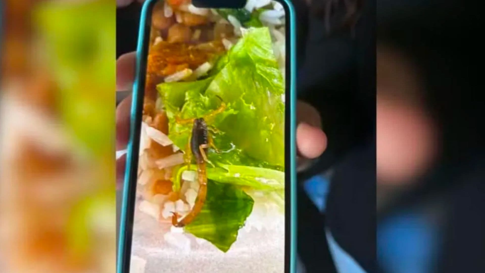 Imagem do escorpião sendo encontrado na merenda