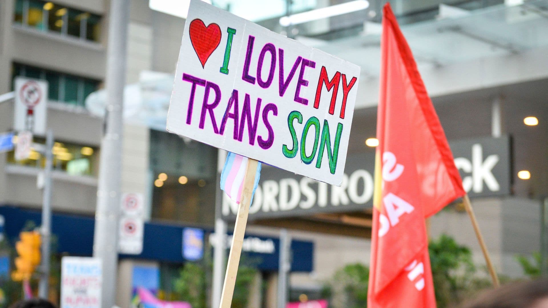 Imagem de passeata em prol da aceitação das crianças trans