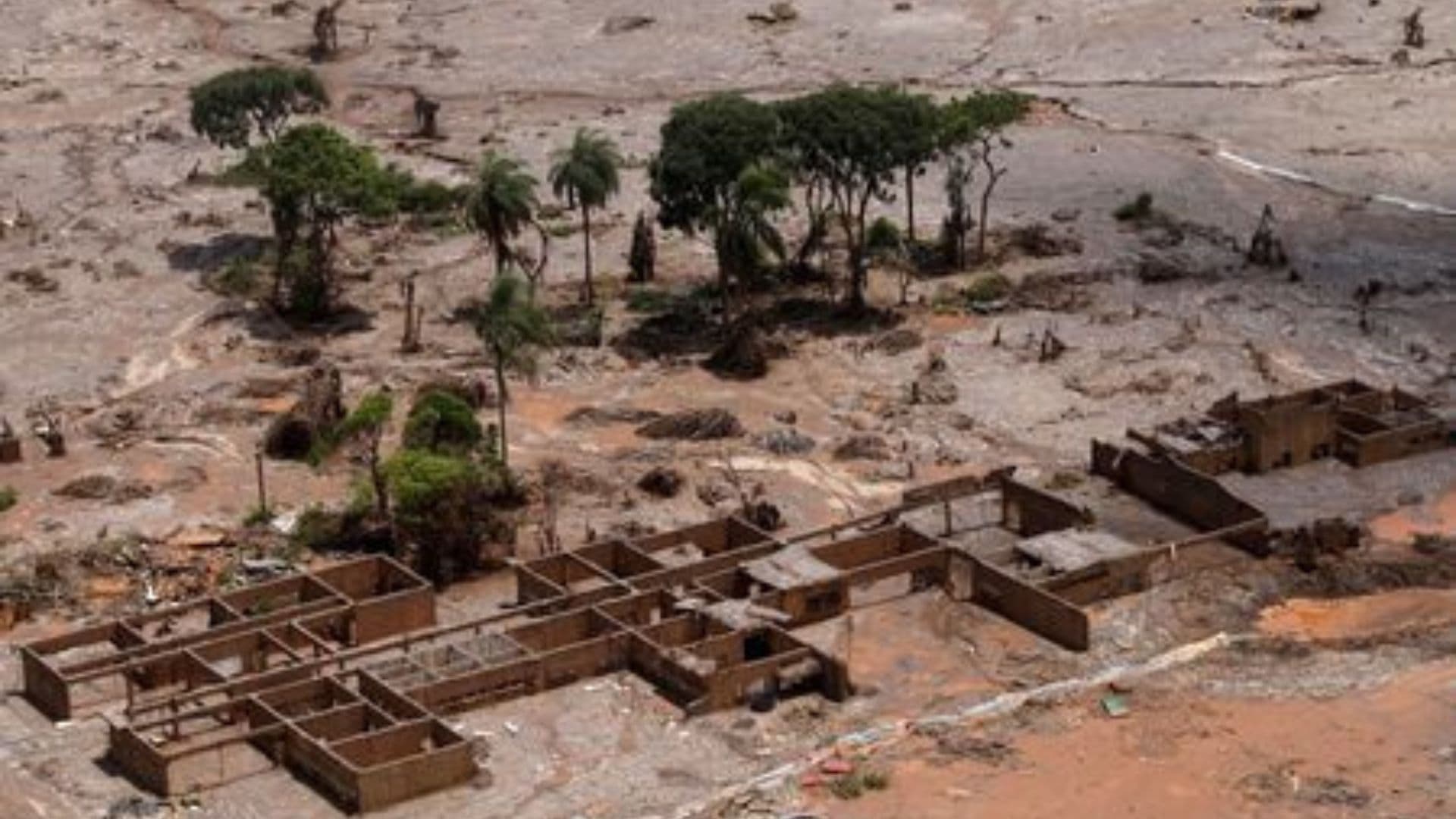 A empresa Vale do rio Doce concedeu indenização pela tragédia de Mariana