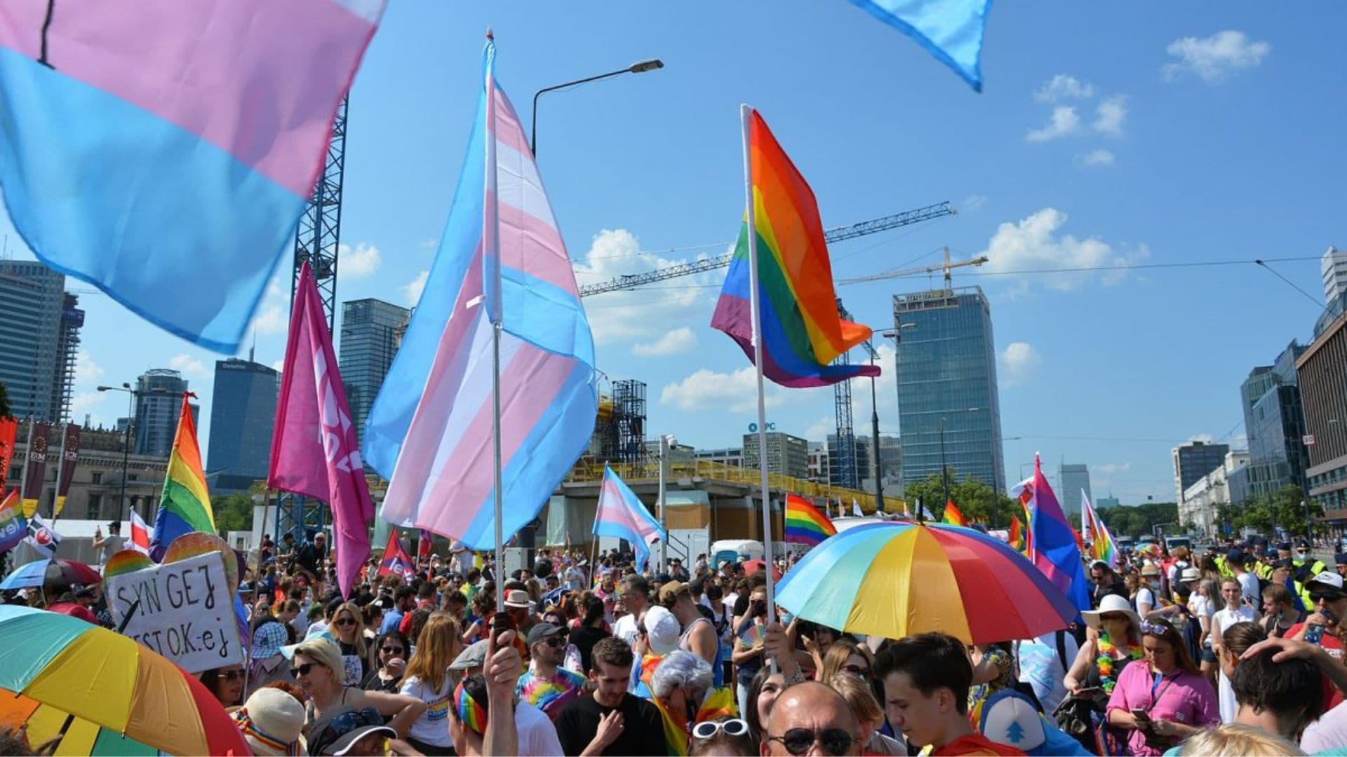 Bandeiras transgênero sendo levantadas durante um e evento LGBT