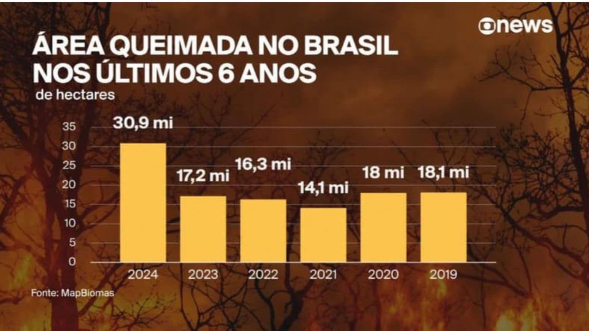 Queimadas Brasil