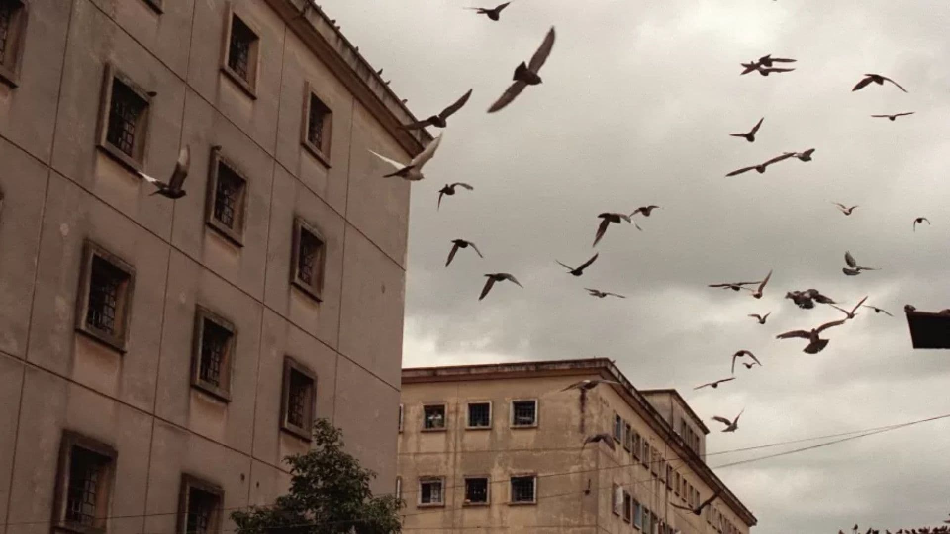Imagem da ala do Carandiru onde ficava a Seita Satanica