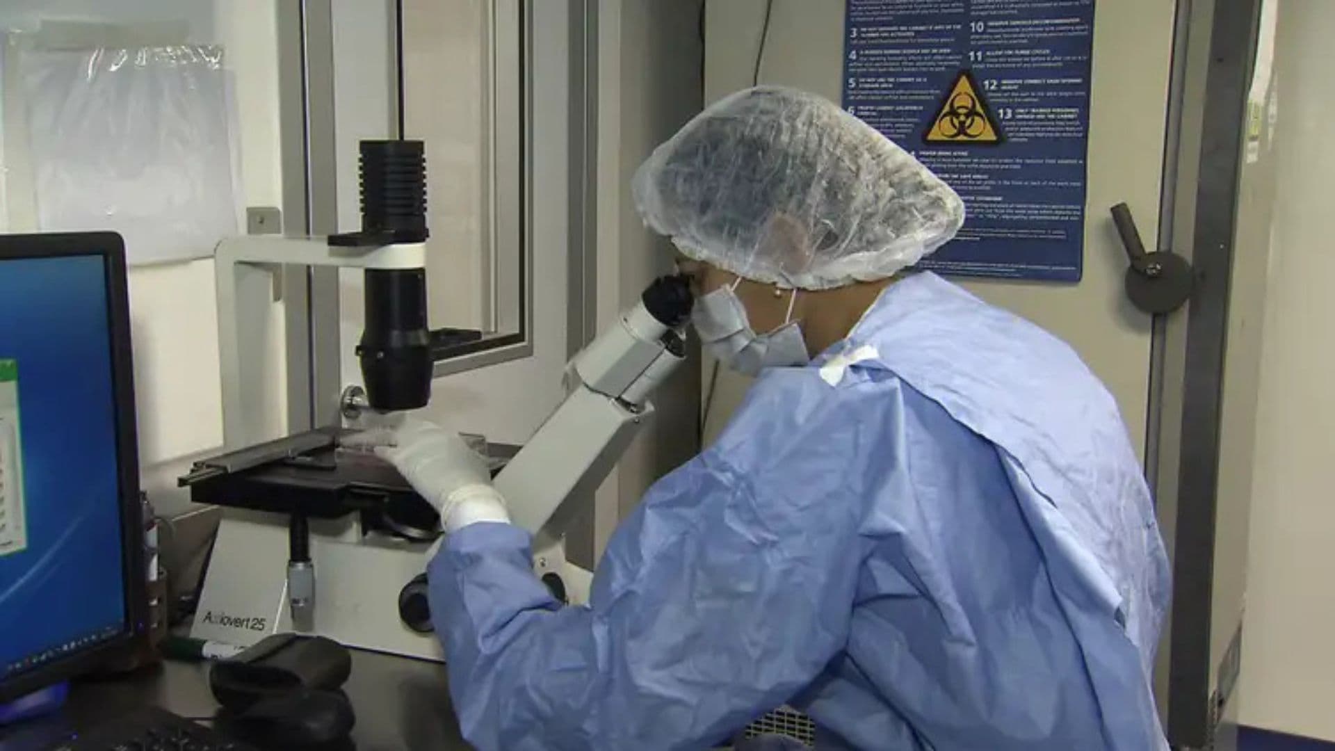 Cientita estudando células tronco em laboratório.