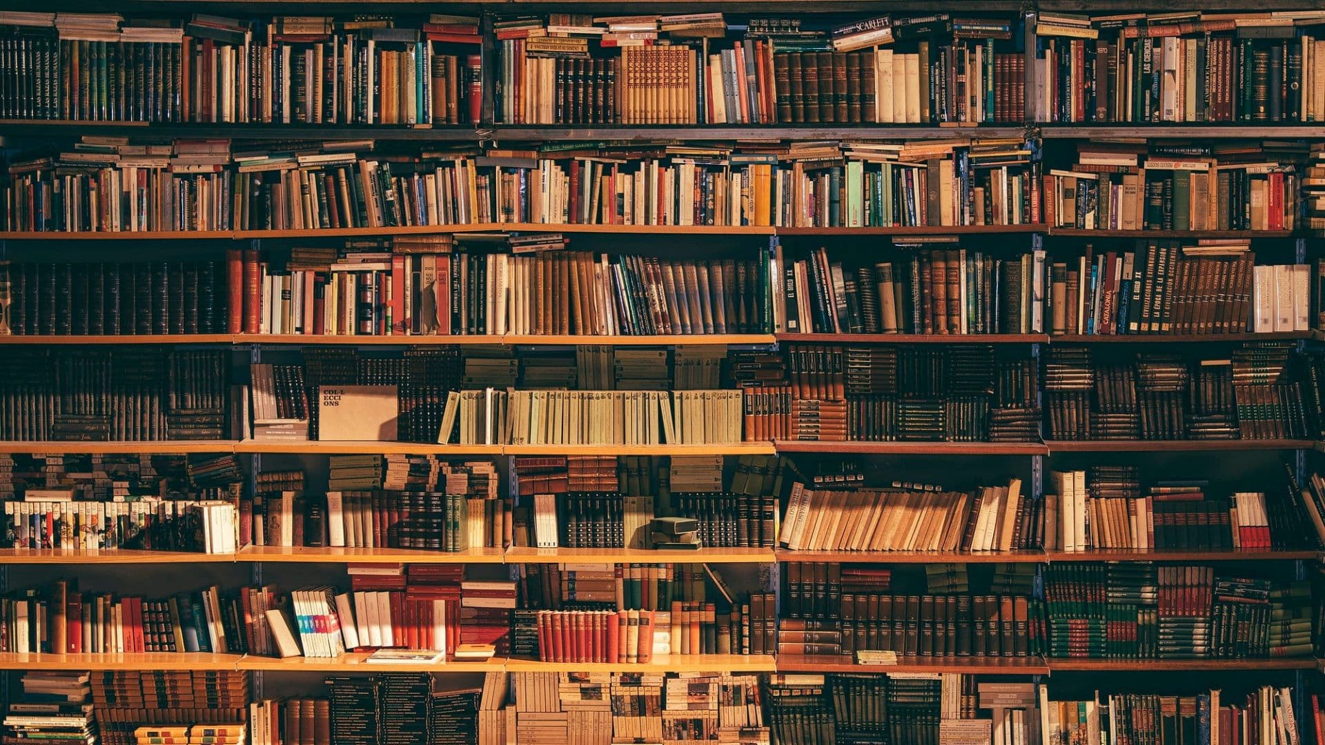 Biblioteca. Ler ajuda a prolongar a vida em até dois anos.