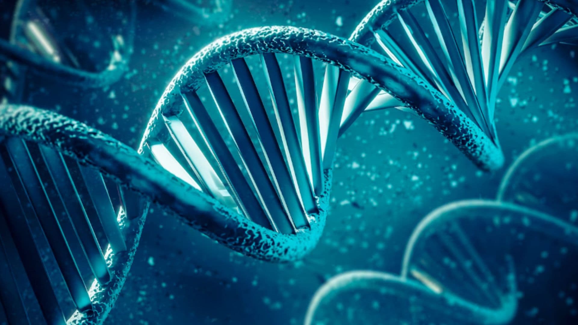 Cientistas britânicos intencionam montar cromossomos em laboratório.