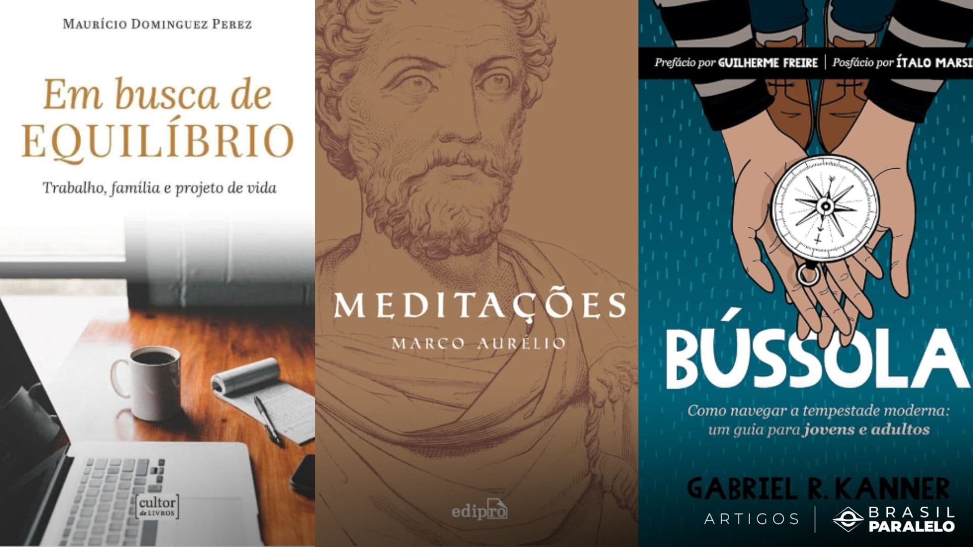 livros sobre inteligência