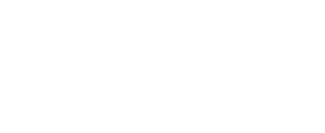 A História dos Partidos Americanos