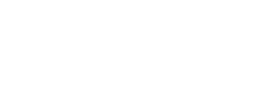Adorável Vagabundo