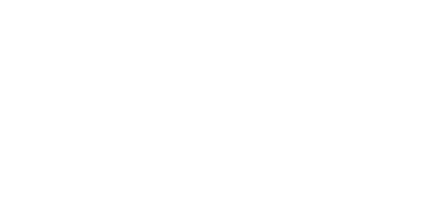 Magna Carta