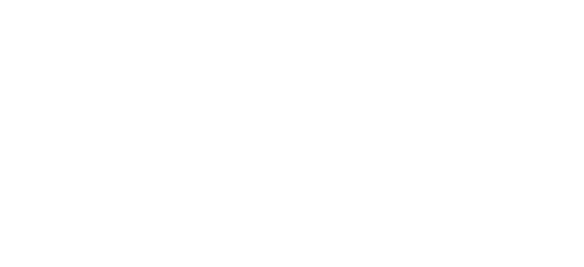Magna Carta