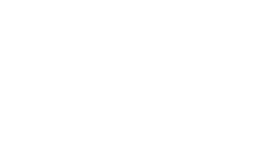 O último Vermeer
