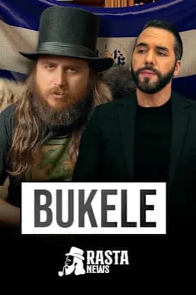 Rasta News: Bukele