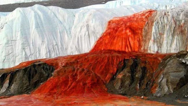 cascata de sangue na antartida